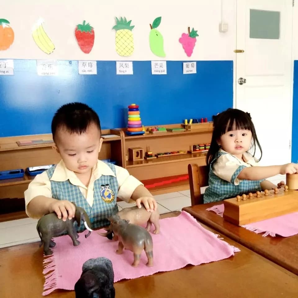 Global Montessori School