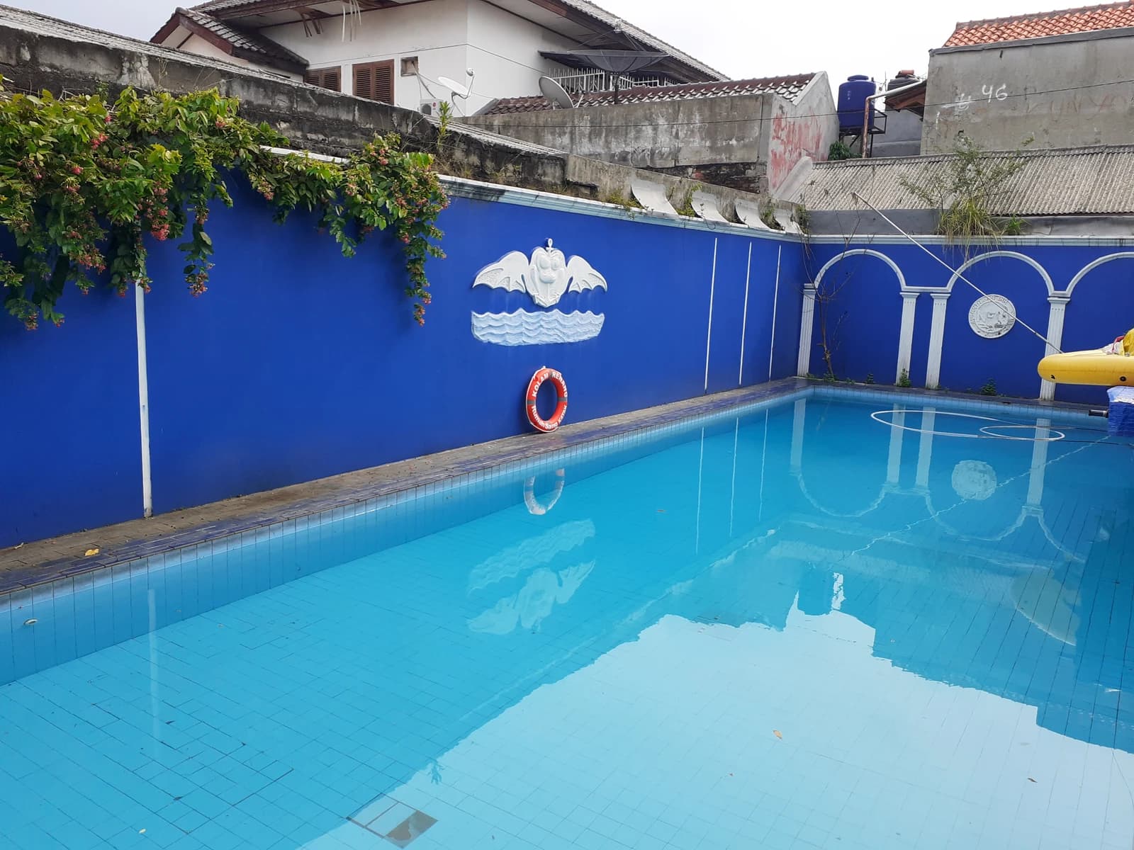 Kolam Renang Rumah Sang Katak